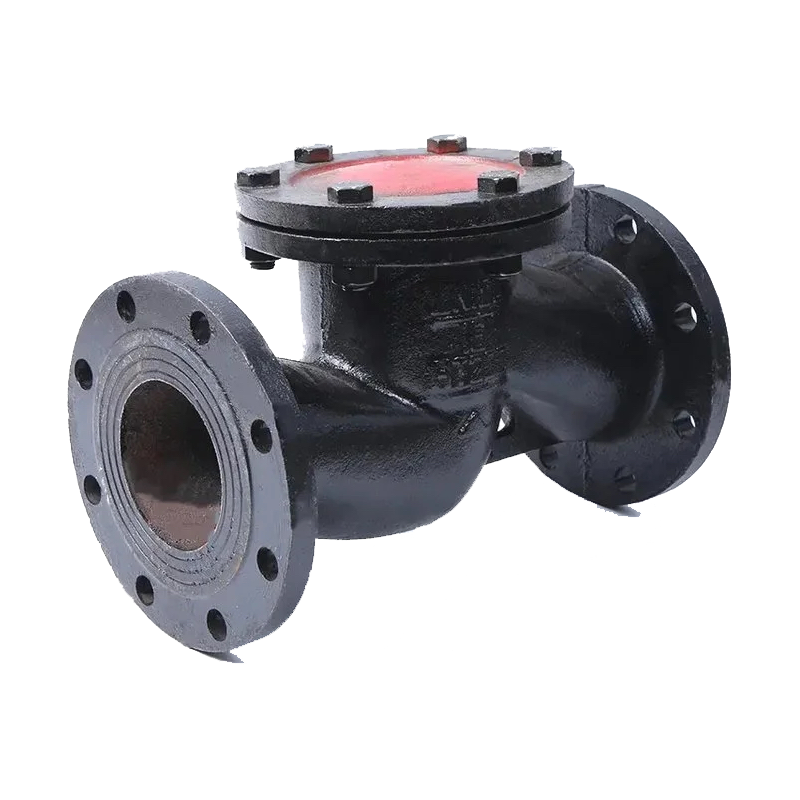 Iron lift check valve