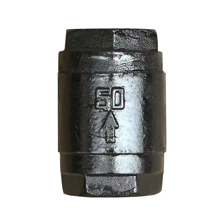 Gray cast iron threaded vertical check valve